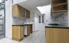 Primrose Green kitchen extension leads